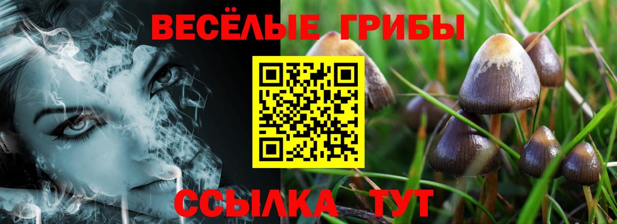 Амфетамин кристаллы  Вход с VPN  Каннабис  Каннабис  ГАШ  МЕФ кристаллы  МЕТАМФЕТАМИН  Кириши  Меф 