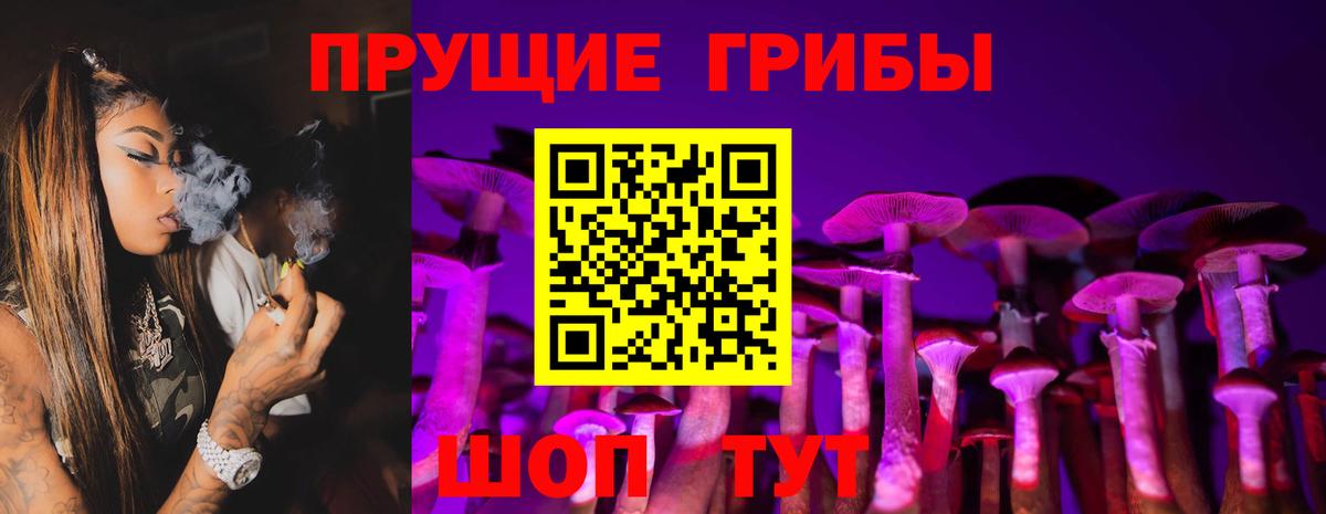 Кириши  Галлюциногенные грибы Cubensis  Вход с VPN 